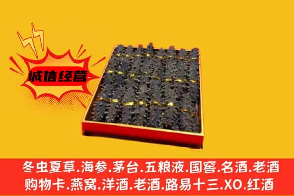 西双版纳州回收海参